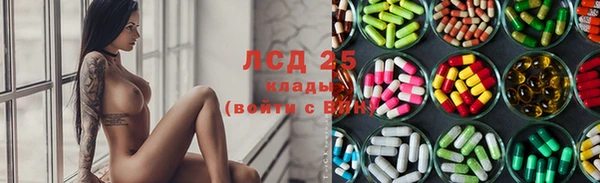 сатива Корсаков