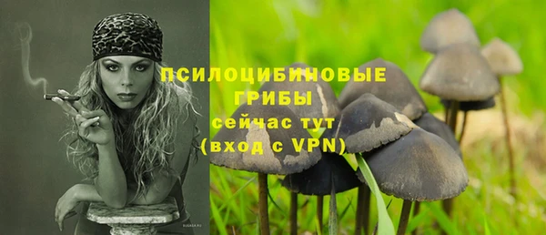 синтетический гашиш Костерёво