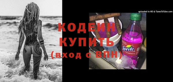 сатива Корсаков