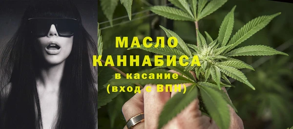 сатива Корсаков