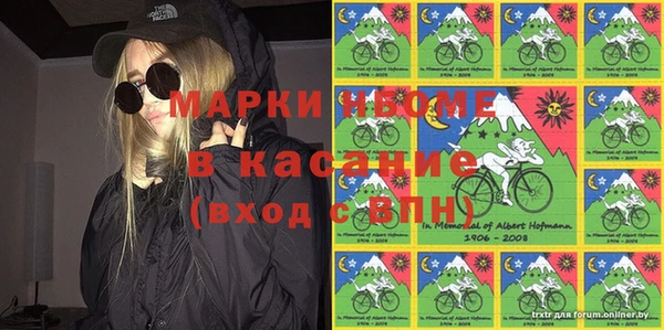 трава Коряжма
