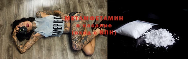 трава Коряжма
