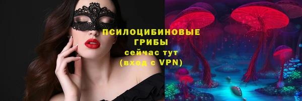 трава Коряжма