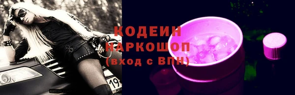 сатива Корсаков