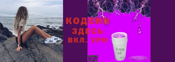 сатива Корсаков
