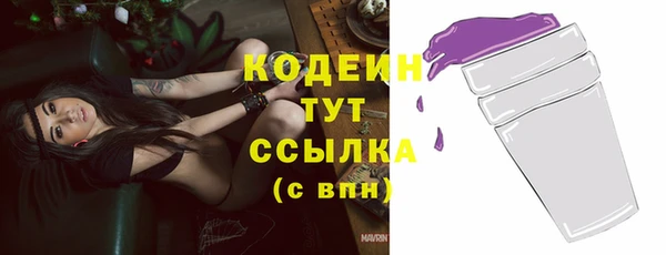 трава Коряжма