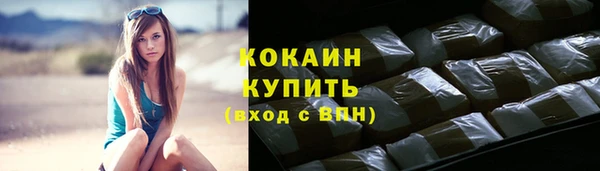 сатива Корсаков