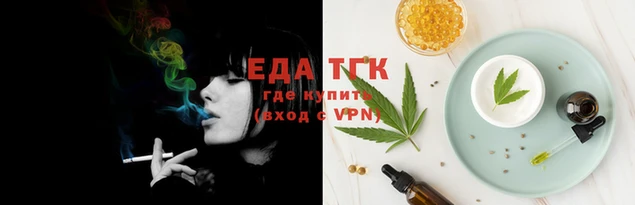трава Коряжма