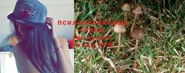 мяу мяу мука Красноперекопск