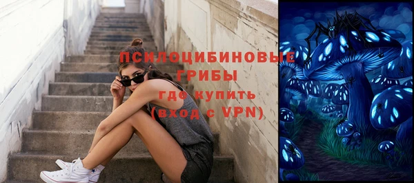 индика Краснотурьинск
