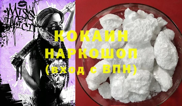 сатива Корсаков